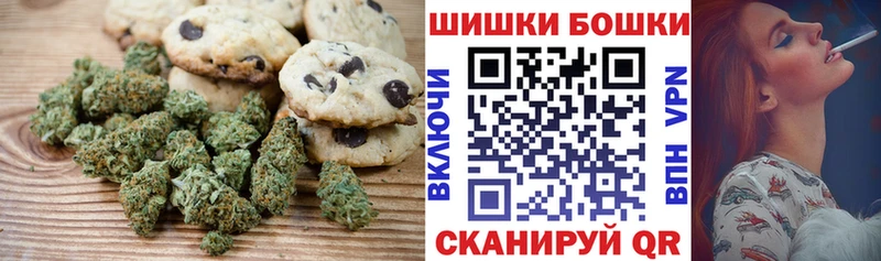 закладка Коряжма Cannafood конопля