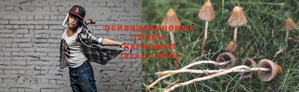 дмт Аркадак
