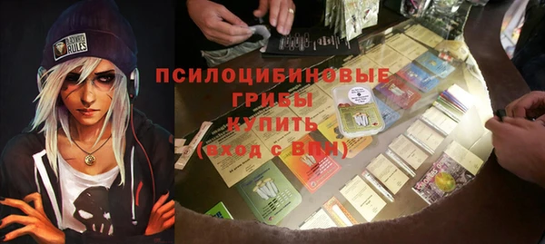 дмт Аркадак