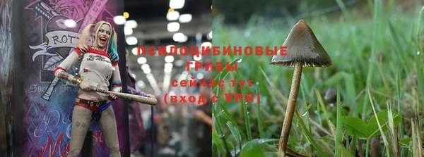 дмт Аркадак